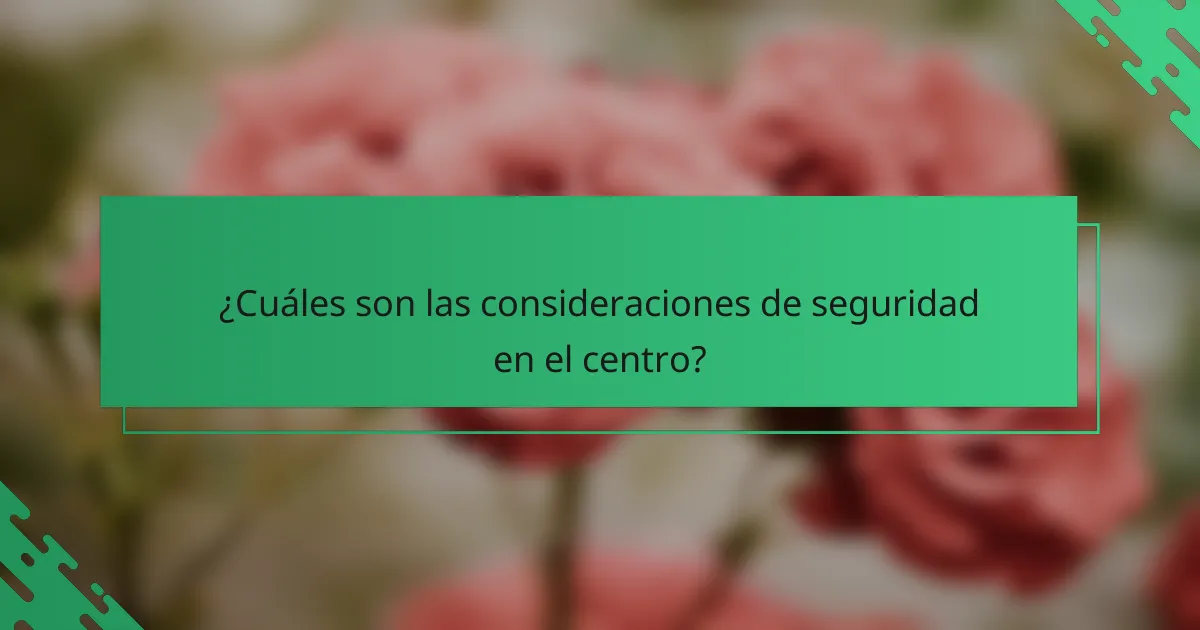 ¿Cuáles son las consideraciones de seguridad en el centro?