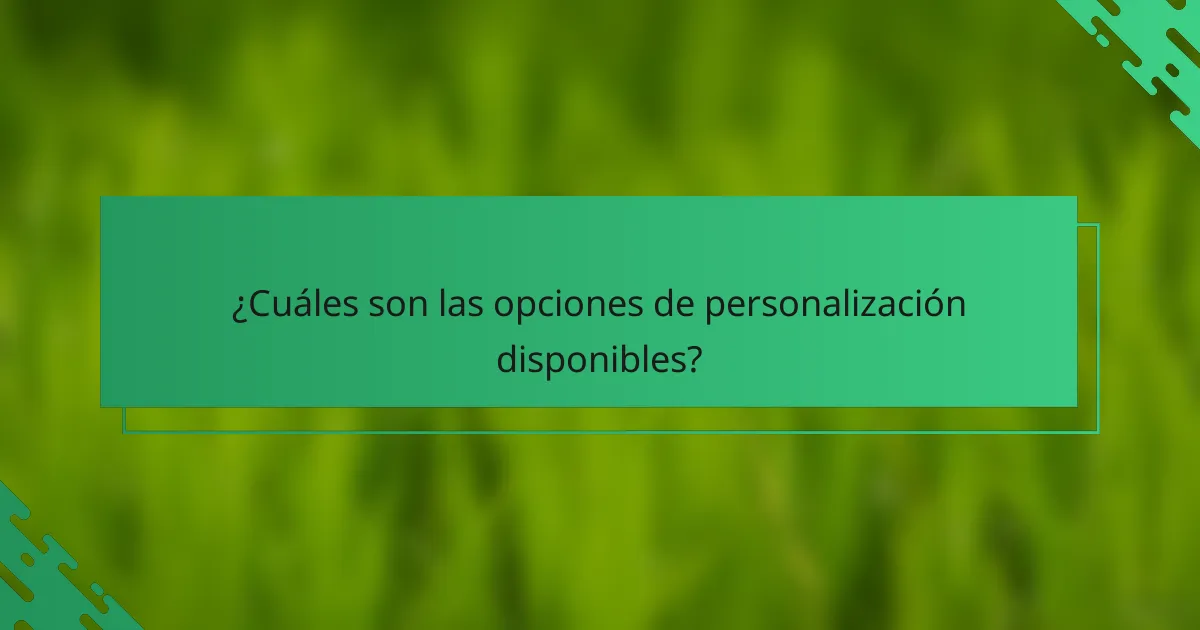 ¿Cuáles son las opciones de personalización disponibles?