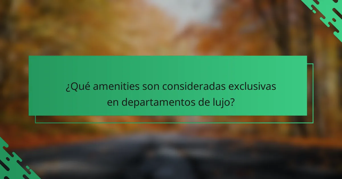 ¿Qué amenities son consideradas exclusivas en departamentos de lujo?