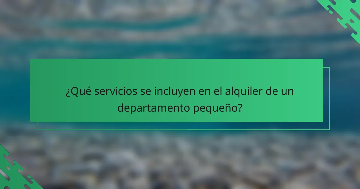 ¿Qué servicios se incluyen en el alquiler de un departamento pequeño?